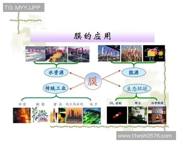 船模足球的魅力与挑战探讨如何在水上竞技中实现团队协作与技术提升